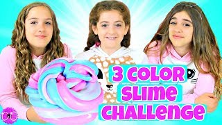 3 Color Slime Challenge [upl. by Atekihs]