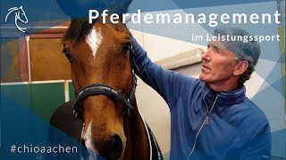 Pferdemanagement im Leistungssport  Ludger Beerbaum über die optimale Reiseplanung [upl. by Wende]