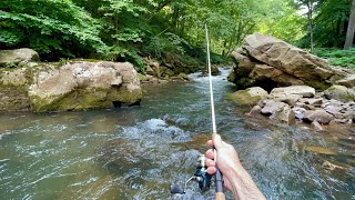 Mountain Stream TROUT Fishing Rainbow amp Brown [upl. by Kerianne]