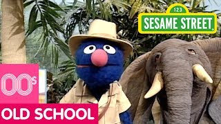 Sesame Street Grover and the Elephant [upl. by Annavoj]