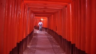 FushimiInariTaisha temple and gardens Kyoto Japan travel video [upl. by Adnoved]