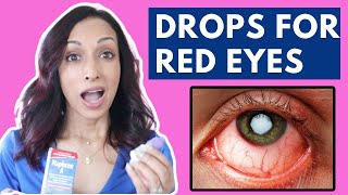 Best Dog Eye Infection Drops  Vet Recommended [upl. by Eiralav]