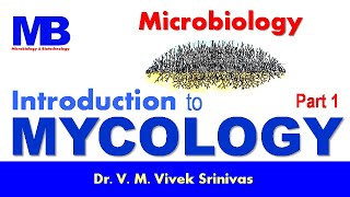 INTRODUCTION TO MYCOLOGY  Microbiology  Vivek Srinivas  Mycology Microbiology FungalMorphology [upl. by Ping786]