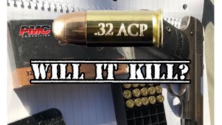 Truth about the 32 ACP [upl. by Yart]