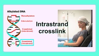 intrastrand crosslink [upl. by Oivlis]