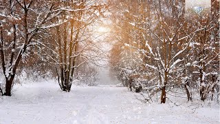 Winter Classical Music Tchaikovsky Vivaldi Mussorgsky Smetana [upl. by Elvia]