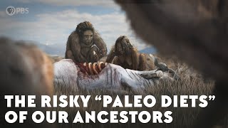 The Risky Paleo Diets of Our Ancestors [upl. by Elaval350]