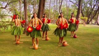 Beautiful Hula  Polynesian Dancers [upl. by Adroj391]