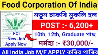 Food Corporation Of India New Recruitment 2024How To Apply Food Corporation Of India JobFCI Jobs [upl. by Narat526]