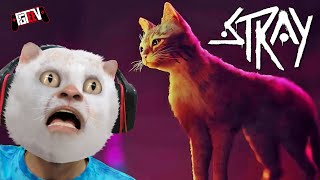 Im a Cat  Meow STRAY plays FGTeeV [upl. by Yelnats]