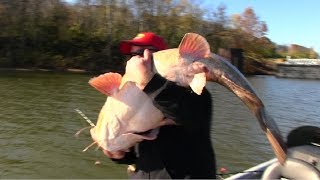 Flathead Catfishing Tips Barge hopping for Flathead Catfish [upl. by Eiderf]