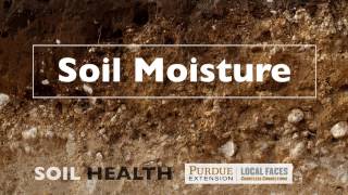 Soil Basics Soil Moisture [upl. by Cristi]