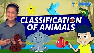 Classification of Animals  Class 1 to 5 [upl. by Yenar]