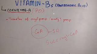 biochem of vitamin B 5 [upl. by Alverson]