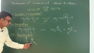 Mechanism of dehydration of alcohol Alcohol phenol and ether  class 12 [upl. by Iams]