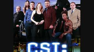 CSI Soundtrack Who Are You The Who [upl. by Amoihc]