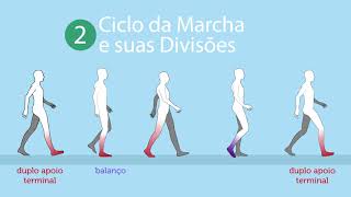 Marcha Normal – ciclos e fases da marcha [upl. by Deery]