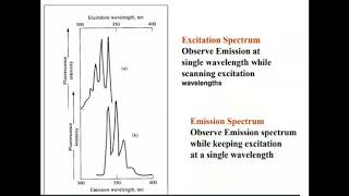 Excitation and emission Spectra in fluorescence [upl. by Dinah189]