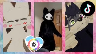 Furry TikToks Compilation 13 [upl. by Hermon533]