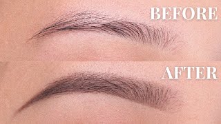 EYEBROW TUTORIAL beginner friendly  Anastasia Beverly Hills Powder  Brow Wiz [upl. by Rexanna]