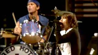 Red Hot Chili Peppers  Parallel Universe  Live at Slane Castle [upl. by Nileuqcaj]