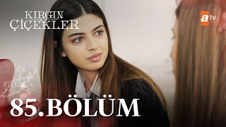 Kırgın Çiçekler 85 Bölüm  atv [upl. by Adnawuj]