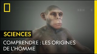 COMPRENDRE  Les origines de lHomme [upl. by Benito]