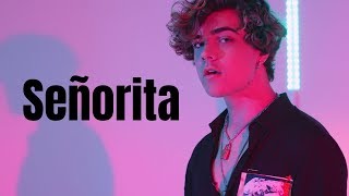 Shawn Mendes Camila Cabello  Señorita Cover by Alexander Stewart [upl. by Yentiw]