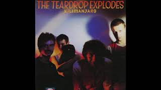 The Teardrop Explodes  Sleeping Gas [upl. by Ellemrac363]