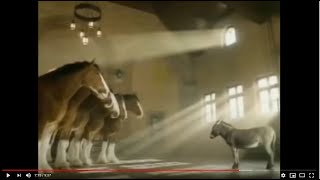 Budweiser Clydesdales Commercial Compilation [upl. by Christoper]