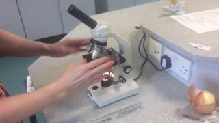 91 GCSE Biology Required Practical 1 Pt2  Wet Mount Slides [upl. by Emsoc489]