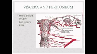 Sample ProblemFocused Standardized Patient Encounter [upl. by Honan]