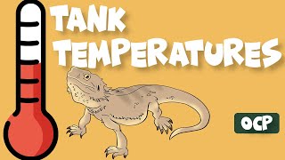 Temperatures Inside a Bearded Dragon Tank [upl. by Aneelad597]