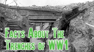 Trench Warfare Facts  The Trenches of WW1 [upl. by Joli]