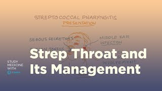 Strep throat pathology symptoms and management [upl. by Koeninger]