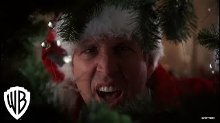 Christmas Vacation  Best of Clark Griswold [upl. by Ungley913]