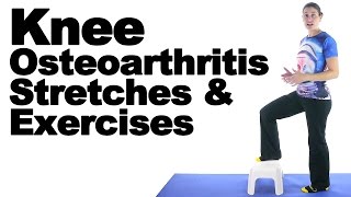 Knee Osteoarthritis  Wear amp Tear  What Exercises To Do [upl. by Rosdniw83]