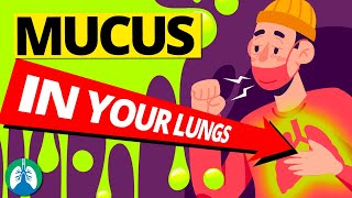 1 Cup will CLEAR UP Mucus amp Phlegm in Sinus Chest and Lungs  Dr Alan Mandell DC [upl. by Neivad]