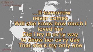 Ronan Keating  If Tomorrow Never Comes  Cover [upl. by Pippy]