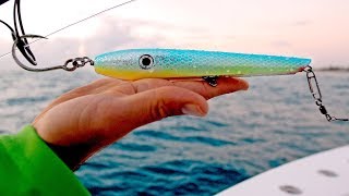 Fishing for Sharks with Topwater Lures Live Bait and Float Rigs  4K [upl. by Hacim979]