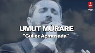 UMUT MÜRARE quotGÜLLER AÇMASA DAquot [upl. by Sharron]