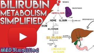 Bilirubin Metabolism Simplified [upl. by Esmond]