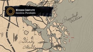 Carolina Parakeet Locations RDR2 Mission Guide [upl. by Cyprio]