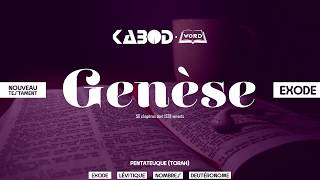 « Genèse »  LAncien Testament  La Sainte Bible audio VF Complète [upl. by Liddy958]