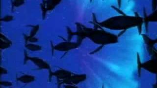 Fantasia 2000 1999 Trailer [upl. by Bobby]