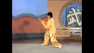 88 Yang Style Tai Chi Quan Form [upl. by Dona]