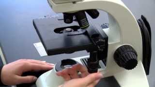 BIOLOGY 10  Basic Microscope Setup and Use [upl. by Rednal682]