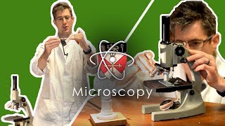 Microscopy  How to use a microscope  GCSE Science Required Practical [upl. by Anissej448]