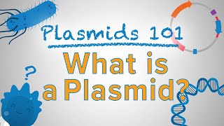 What is a Plasmid  Plasmids 101 [upl. by Hsemin]