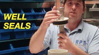 The Basics of Well Seals [upl. by Penhall370]